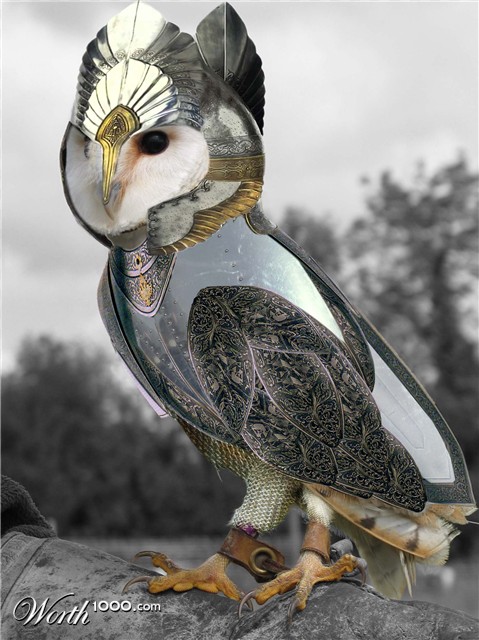 Photoshop Design by carmanyola