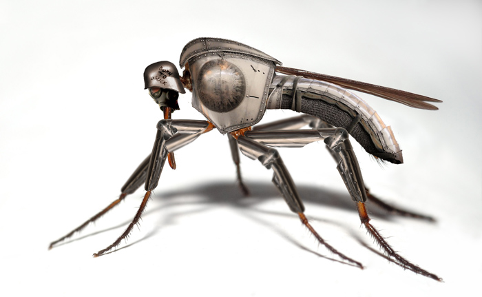 Photoshop Design by canemalato for DesignCrowd (Community Contests) | Design #8953154