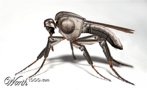 Photoshop Design by canemalato