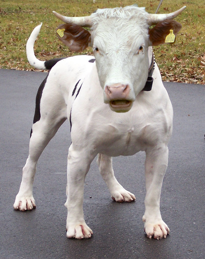 Photoshop-Design von ama168 für DesignCrowd (Community Contests) | Design #8953620