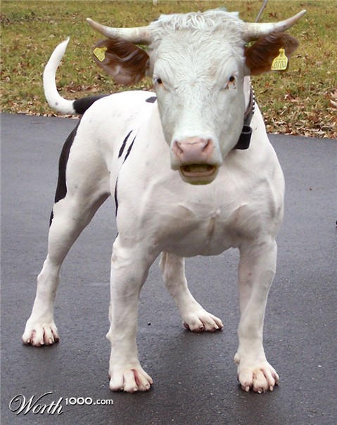 Photoshop Design by ama168