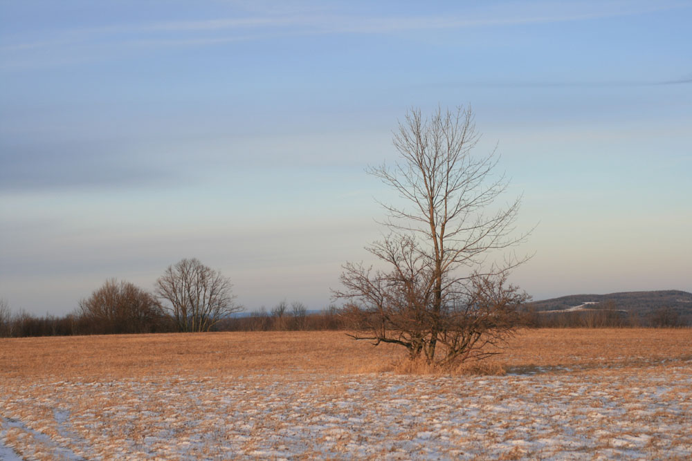 Photography by kcrawfish03 for DesignCrowd (Community Contests) | Design #8949316