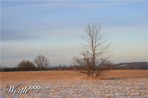Photography by kcrawfish03
