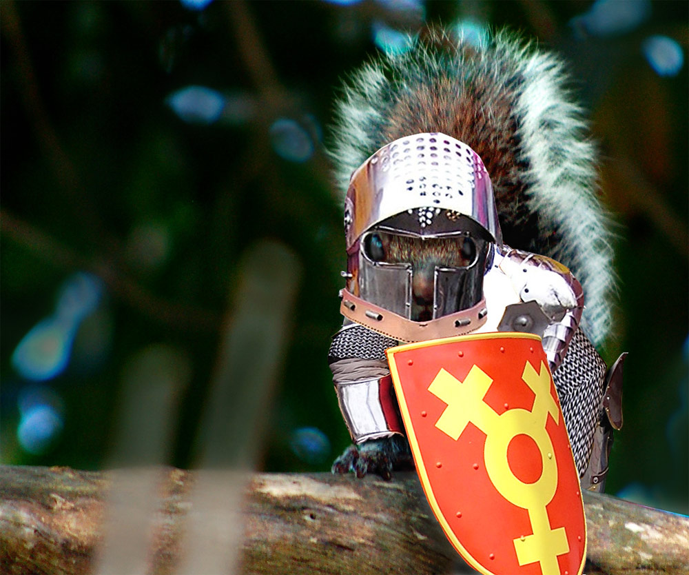 Photoshop Design by margold for DesignCrowd (Community Contests) | Design #8953139