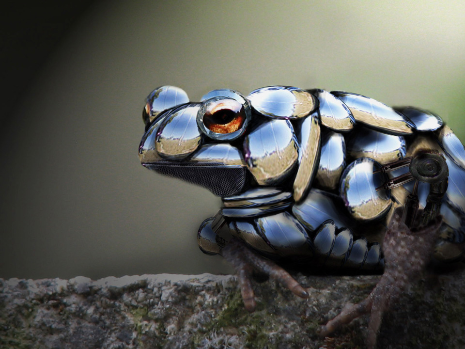 Photoshop Design by Vodoc1005 for DesignCrowd (Community Contests) | Design #8953115