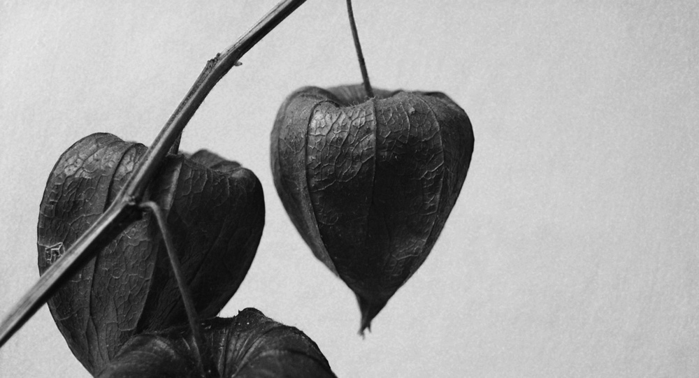 Photographie par Bastrofski pour DesignCrowd (Community Contests) | Design #8952647