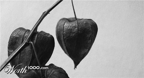 Photography by Bastrofski