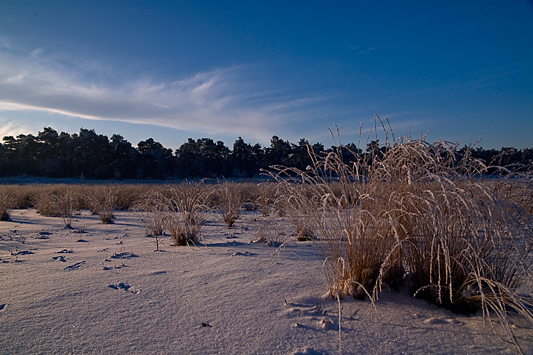 Photographie par egonlinden pour DesignCrowd (Community Contests) | Design #8949263