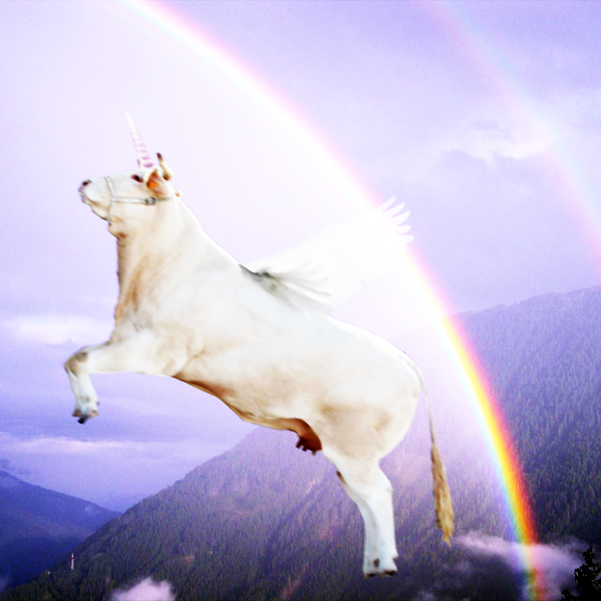 Design Photoshop par MrXegli pour DesignCrowd (Community Contests) | Design #8953626