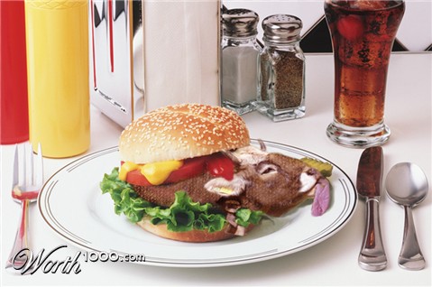 Photoshop Design by kwize53