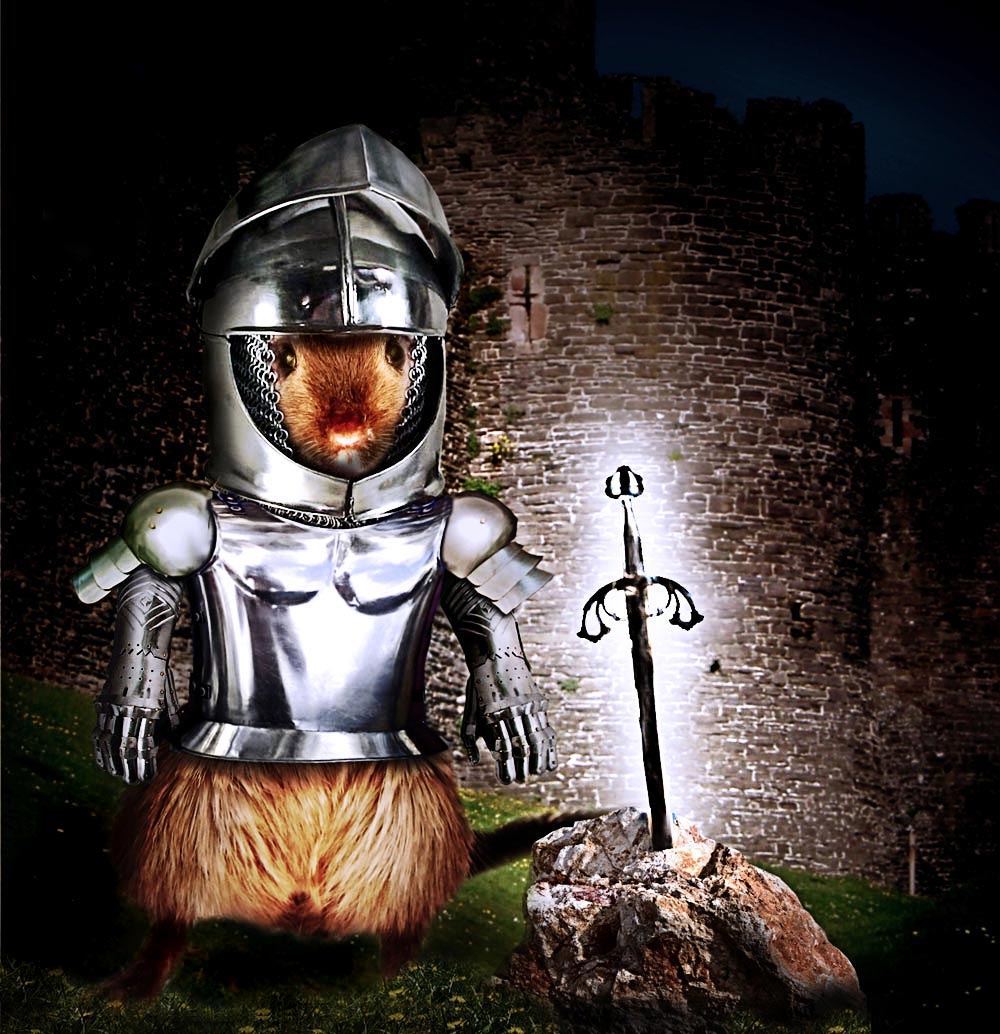 Photoshop Design by castiza for DesignCrowd (Community Contests) | Design #8953221