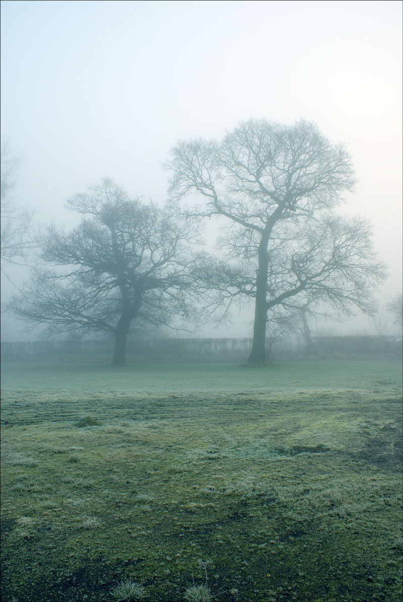 Photographie par JANIELLE pour DesignCrowd (Community Contests) | Design #8949325