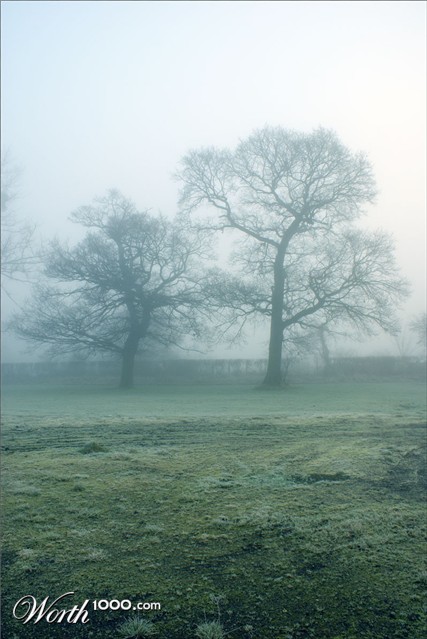 Photography by JANIELLE