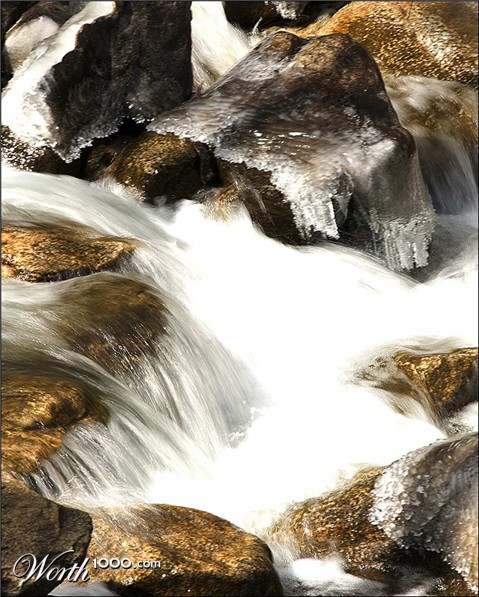 Photography by cshutt