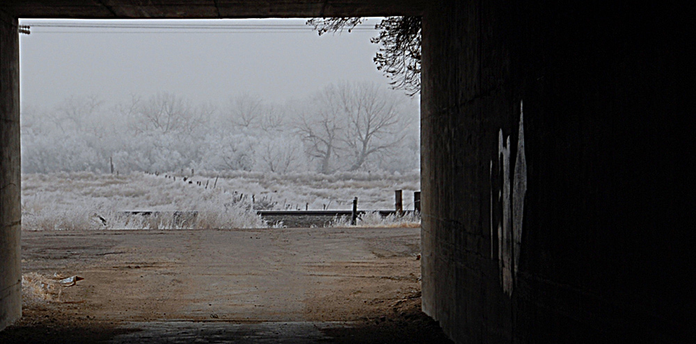 Photography by cshutt for DesignCrowd (Community Contests) | Design #8949278