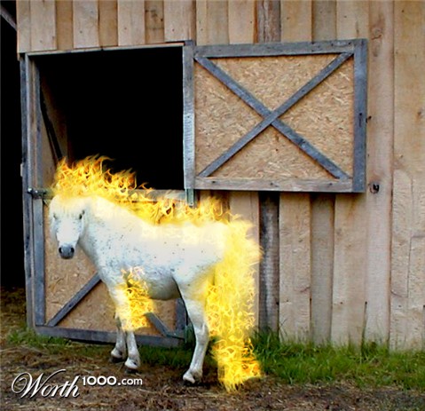 Photoshop Design by visualX