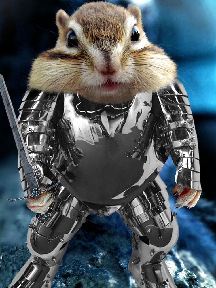 Photoshop Design by aards2 for DesignCrowd (Community Contests) | Design #8953186