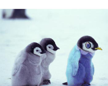 Photoshop Design by lnattrass for DesignCrowd (Community Contests) | Design #8954272