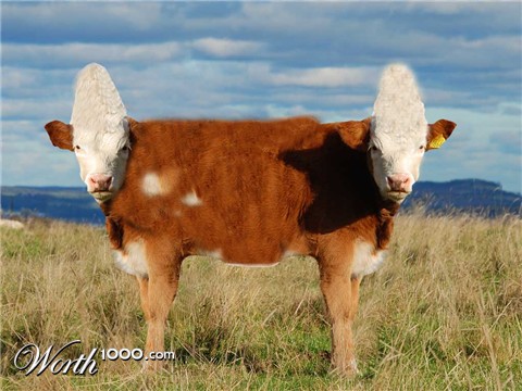 Photoshop Design by bpawlitzki