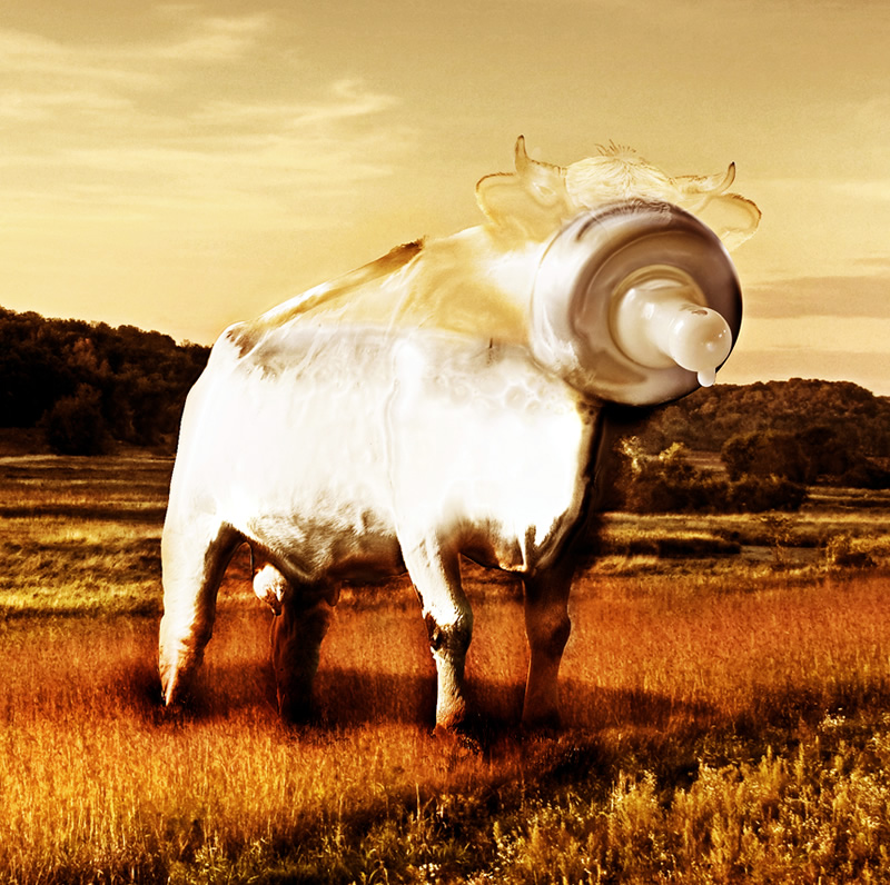 Photoshop Design by Petrosini for DesignCrowd (Community Contests) | Design #8953755