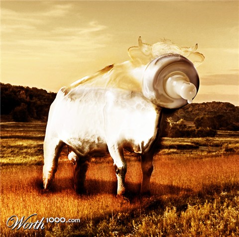 Photoshop Design by Petrosini