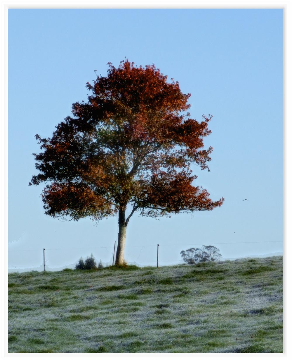 Fotografía por essjaynz para DesignCrowd (Community Contests) | Diseño #8949302
