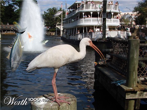 Photoshop Design by LaGecko