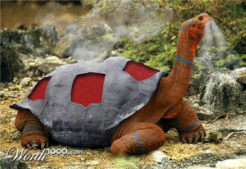 Photoshop Design by Tolgor