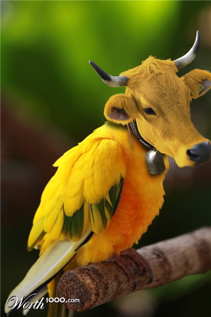 Photoshop Design by cns025