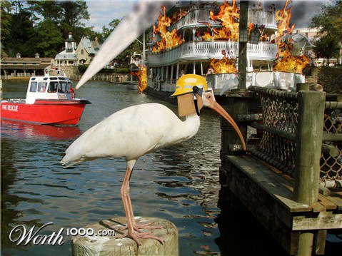 Photoshop Design by mattdti