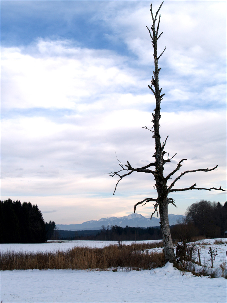 Photography by redcats for DesignCrowd (Community Contests) | Design #8949427