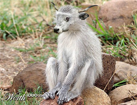 Photoshop Design by raghavanc