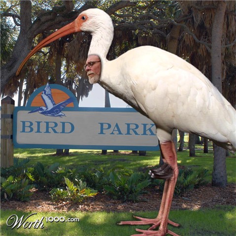 Photoshop Design by lucimine