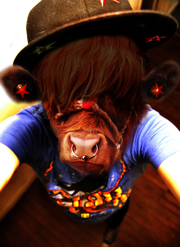 Photoshop-Design von dropdeadmanda für DesignCrowd (Community Contests) | Design #8953748