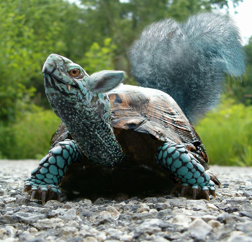 Photoshop Design by ilovekarate for DesignCrowd (Community Contests) | Design #8954310