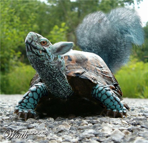 Photoshop Design by ilovekarate