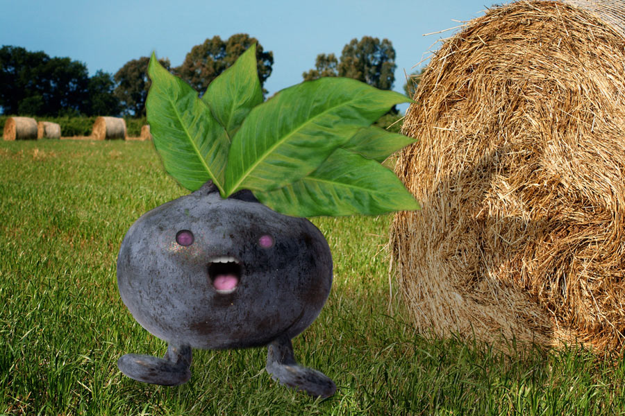 Photoshop Design by Larssonpsd for DesignCrowd (Community Contests) | Design #8954316