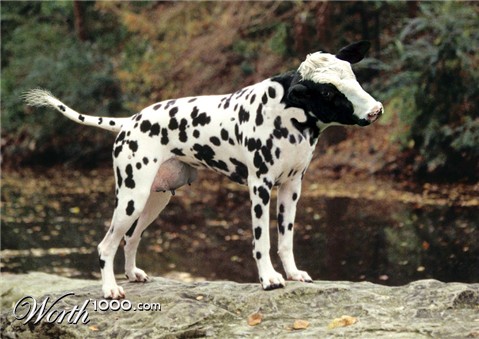 Photoshop Design by mikemuggles