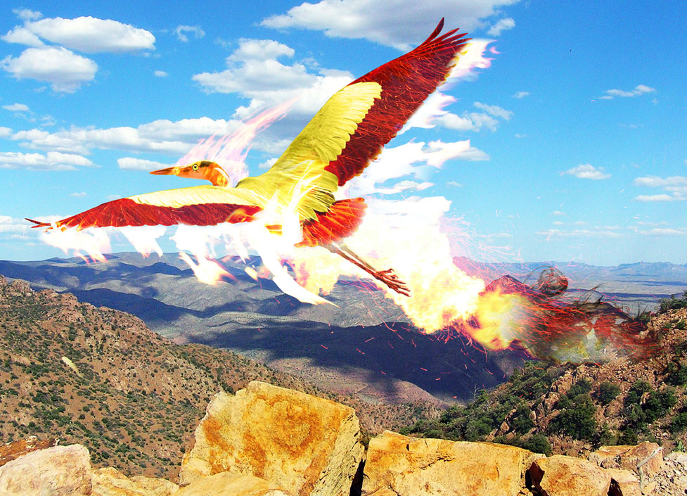 Photoshop-Design von xyelmoxy für DesignCrowd (Community Contests) | Design #8954351