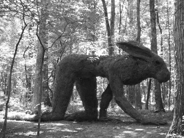 Fotografie von Audrey Kerchner für DesignCrowd (Community Contests) | Design #8949620