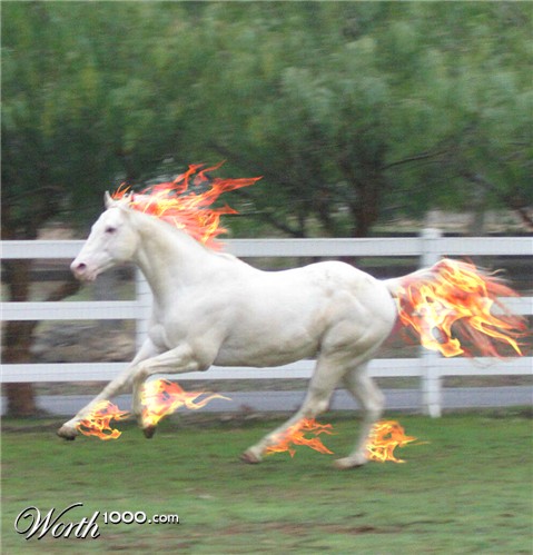 Photoshop Design by FuryMay