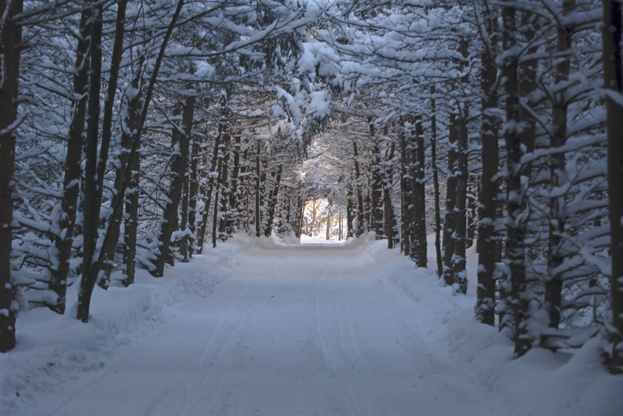 Photographie par Snakeyesman pour DesignCrowd (Community Contests) | Design #8949440