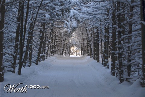 Photography by Snakeyesman