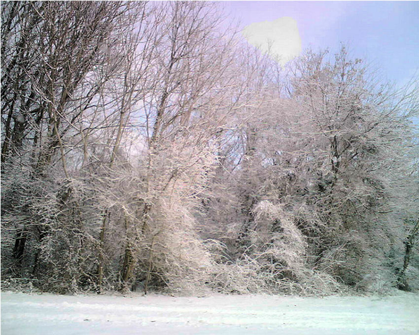 Photography by JoneSyMouSeY for DesignCrowd (Community Contests) | Design #8949410