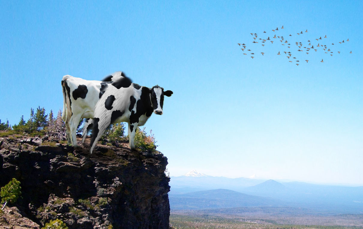 Diseño de Photoshop por lost123 para DesignCrowd (Community Contests) | Diseño #8953784