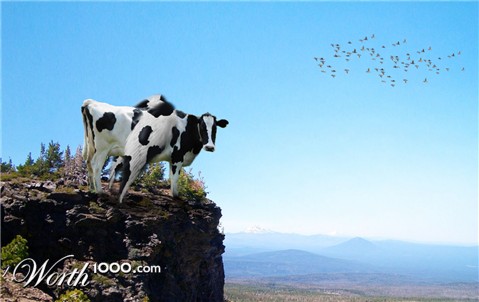 Photoshop Design by lost123