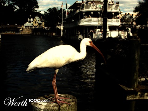 Photoshop Design by jsmith0277