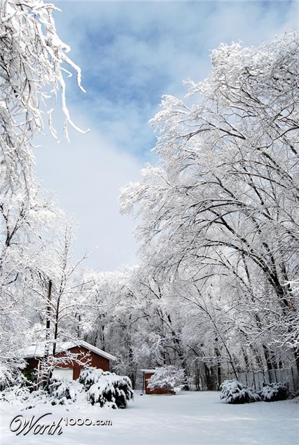 Photography by mysterio