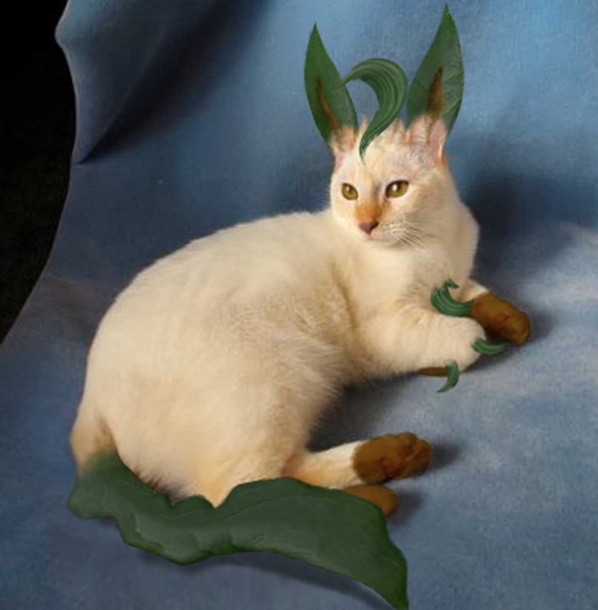 Diseño de Photoshop por Sillyboi para DesignCrowd (Community Contests) | Diseño #8954364