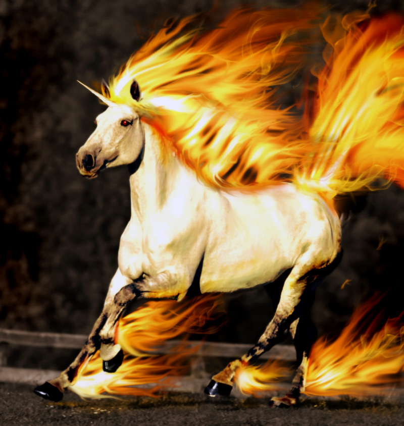 Diseño de Photoshop por catfish08 para DesignCrowd (Community Contests) | Diseño #8954377